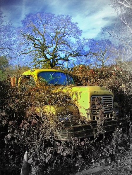 Forgotten Truck