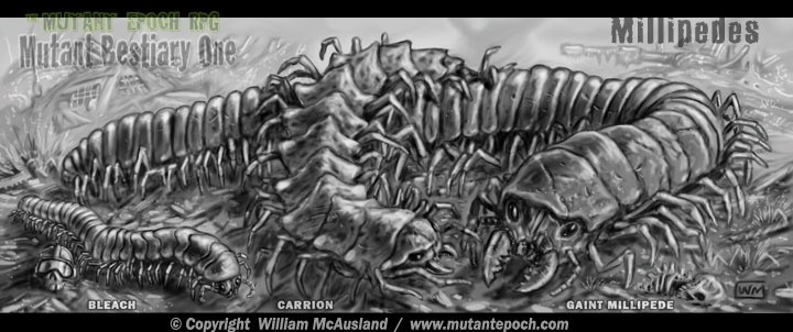 Millipedes of the Epoch