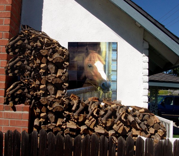 Horse Mural