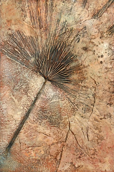 Plant Remains