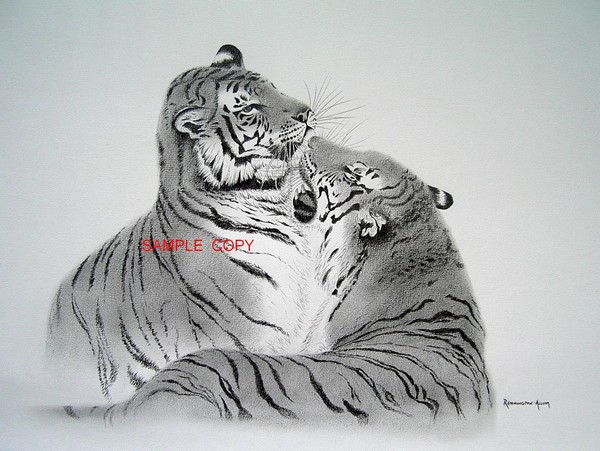 tiger's in love again