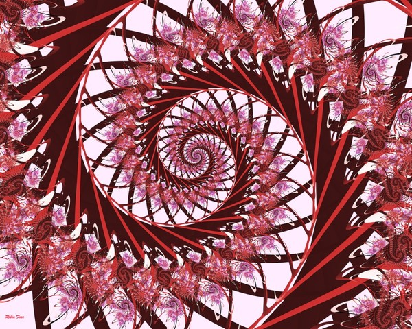 Final Image 1