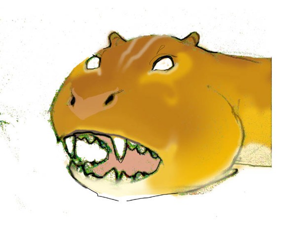 lionhawk face