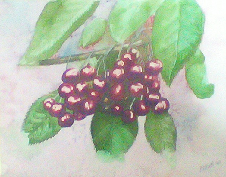 Bing cherries