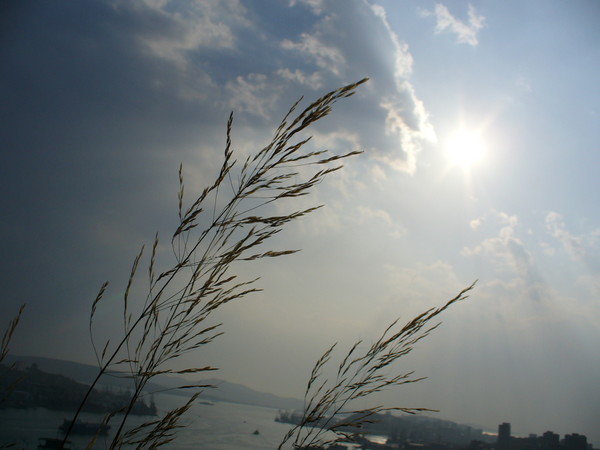 Into the sky