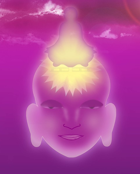Awaken to Consciousness