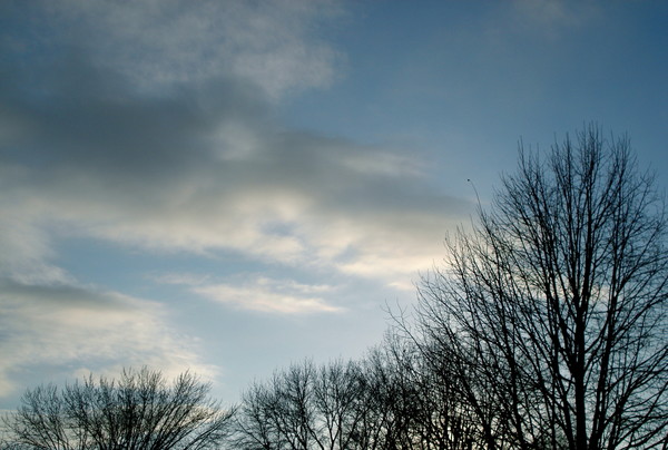Blue Winter