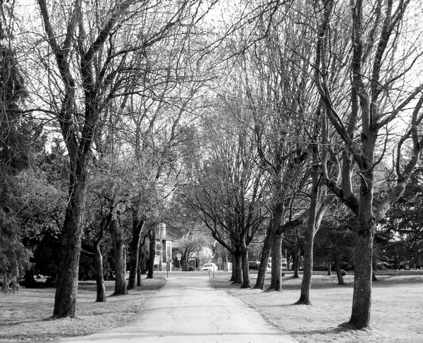 Walk with me