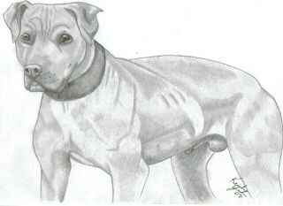 APBT 11-07