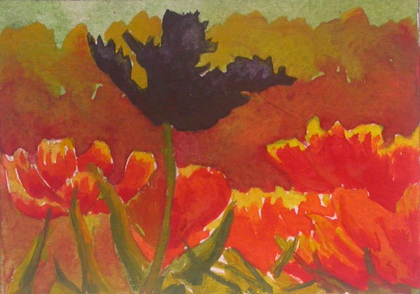 Black Tulip