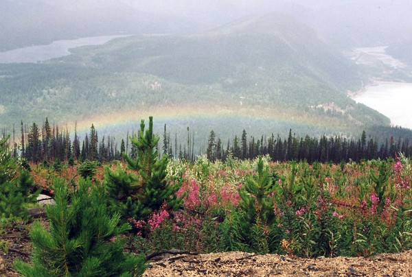 Somewhere Over the Rainbow