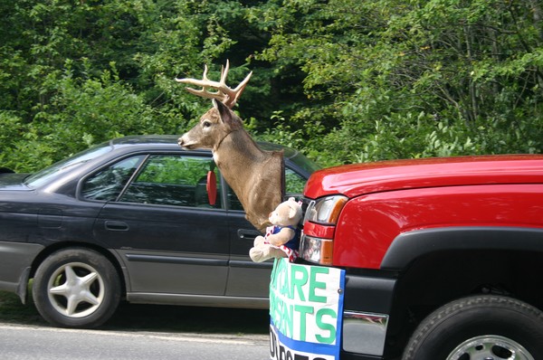 Fourth of July, Maine