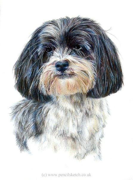 Rosie
