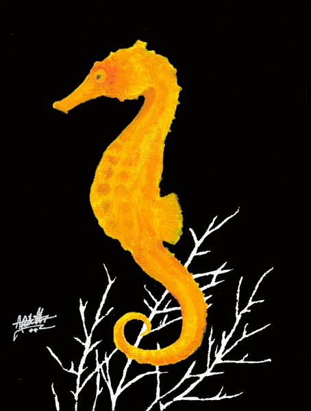 Seahorse