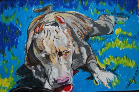 A Dog named Blue