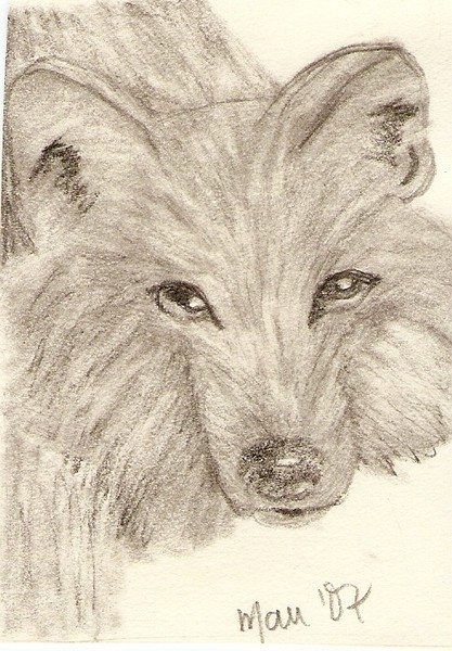 Silent Hunter