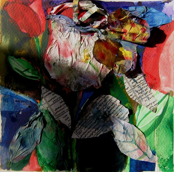 collage2