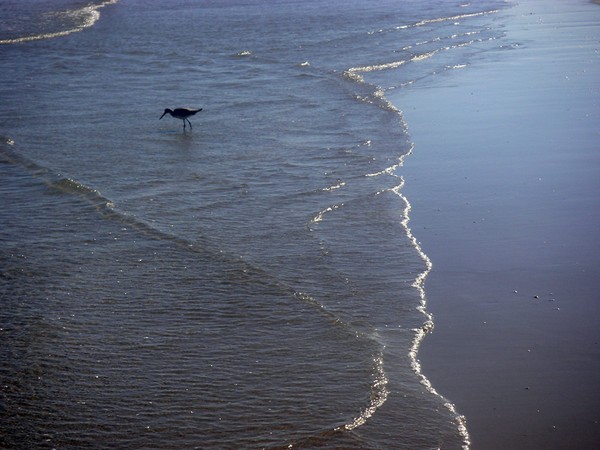 Being One With The Gulf - Pinpointing