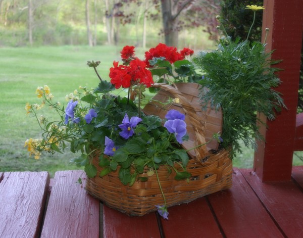 Porch Basket