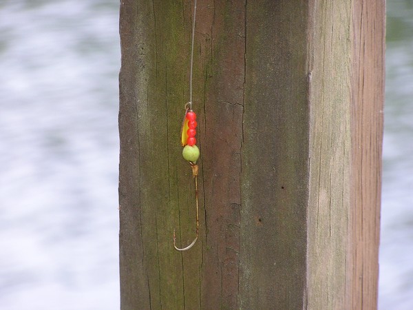 Alluring lure