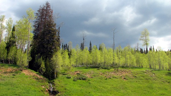 Mountain Storm
