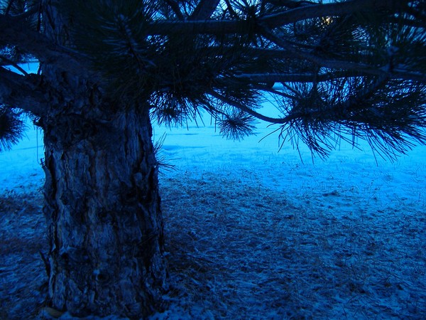 Winter Wonderland