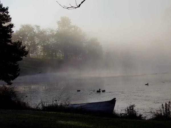 Peacefulness