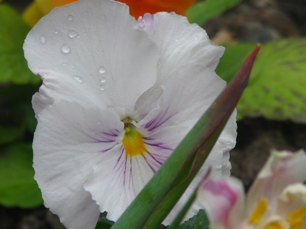 ..one drop of...