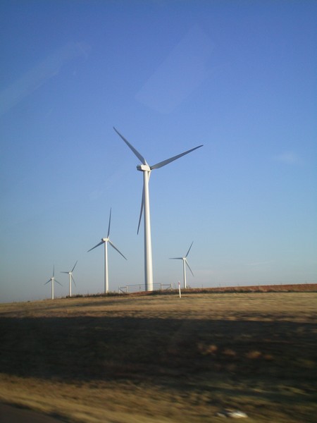 new age farm