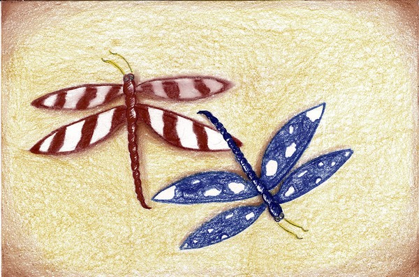 American Dragon Flies