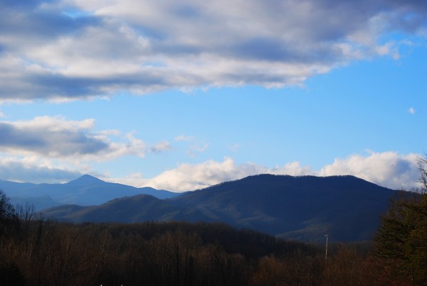 Vastness