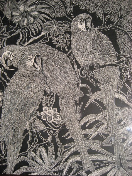 SB Birds