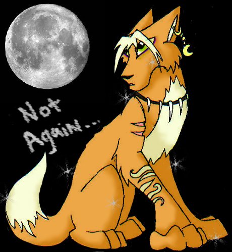 werelupe...