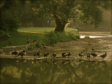In The Early Morning...