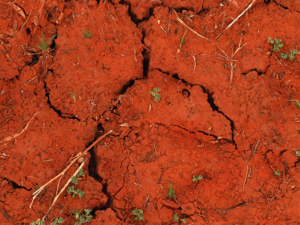 Sedona's Red Soil