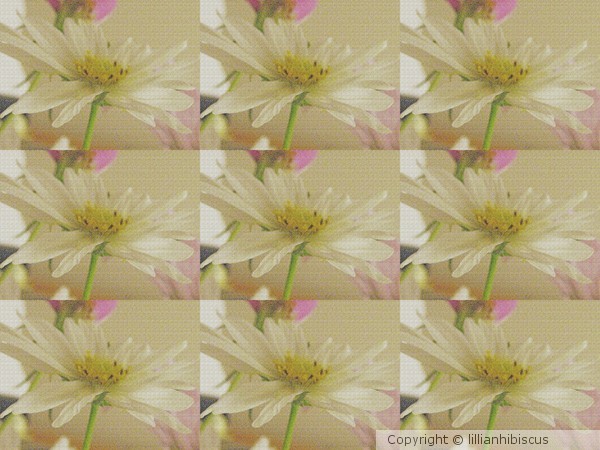 Floral Collage 72212