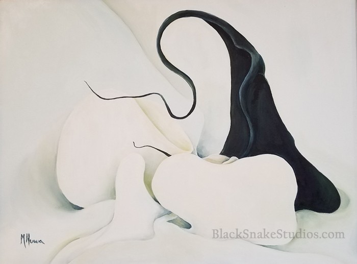 Black Orchid