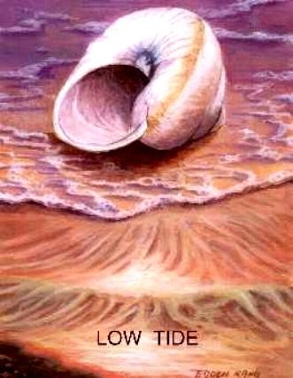 Low Tide