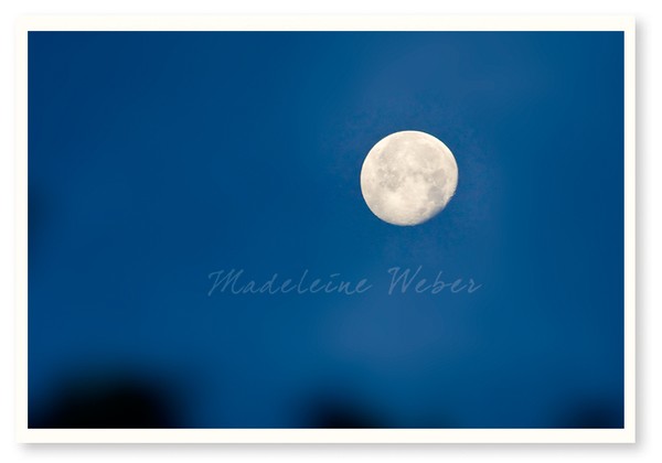 •Good Morning Moon