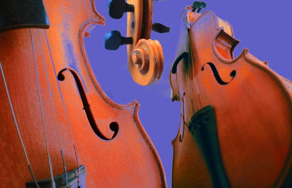 Violin Study