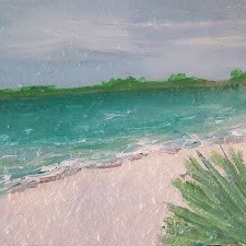 Sandy Shores