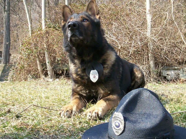 K-9 Officer 