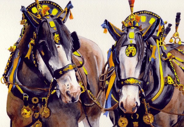 Shires