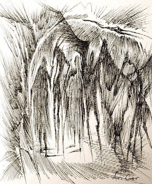 The witch