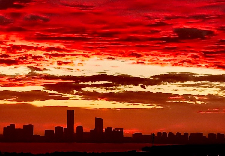 wow my chinese sunrise