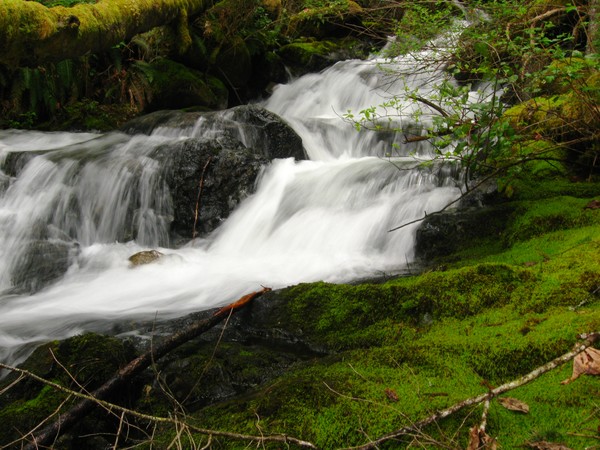 River Of Life