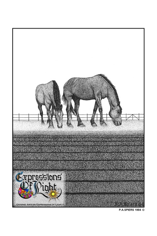 ExpoLight-Graphic-Arts-Horses-1984-0001 (Pen-&-Ink-Mono-SP)