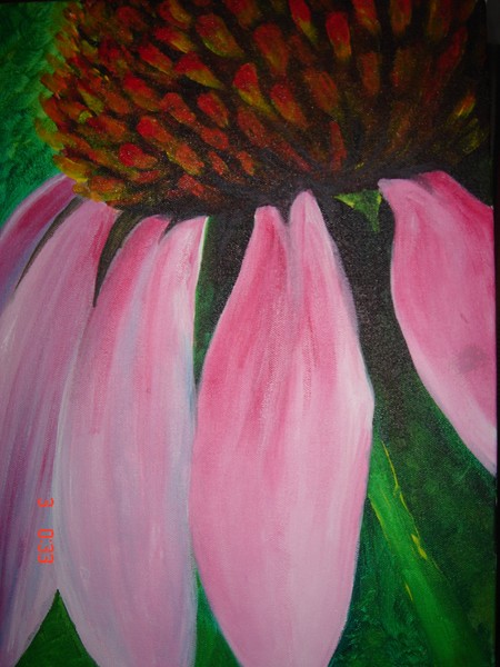 Cone flower-closer