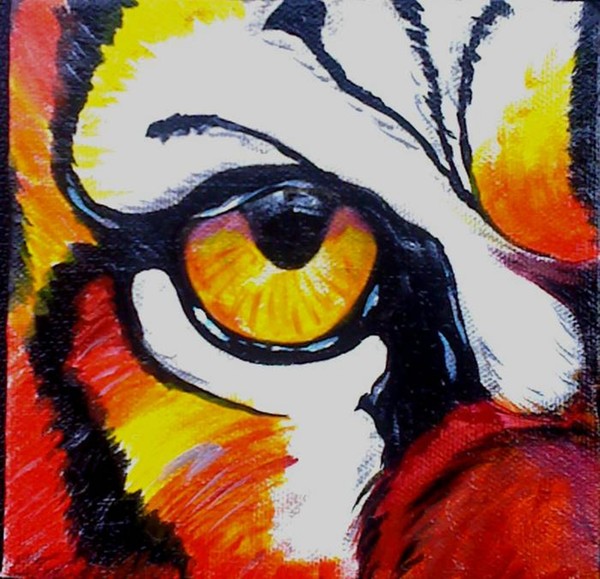 Tiger Eye