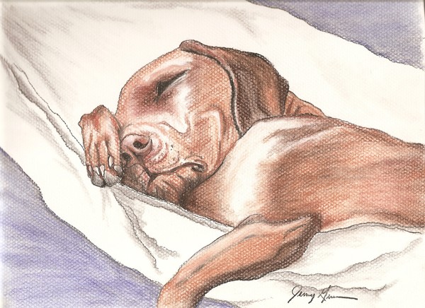 Nap Time